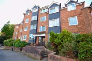 Photo 2- click for photo gallery